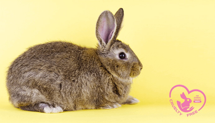 Cruelty Free Certification Requirements