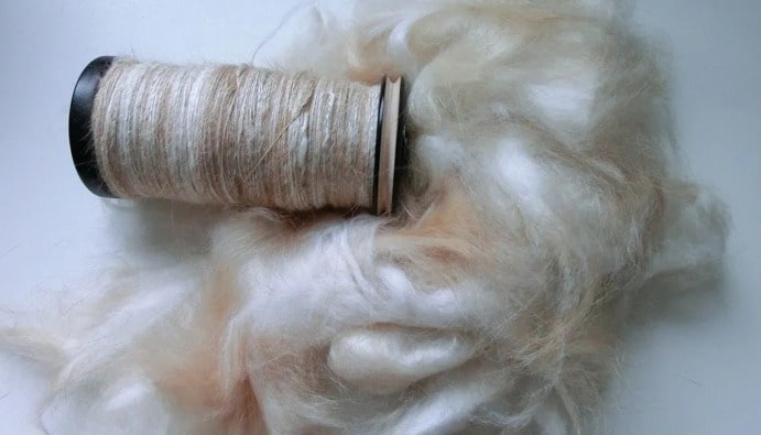 Είναι το Angora Wool Vegan;