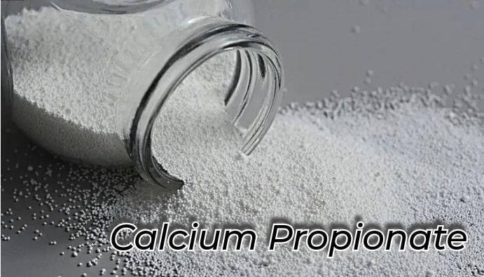 Is Calcium Propionate Vegan?